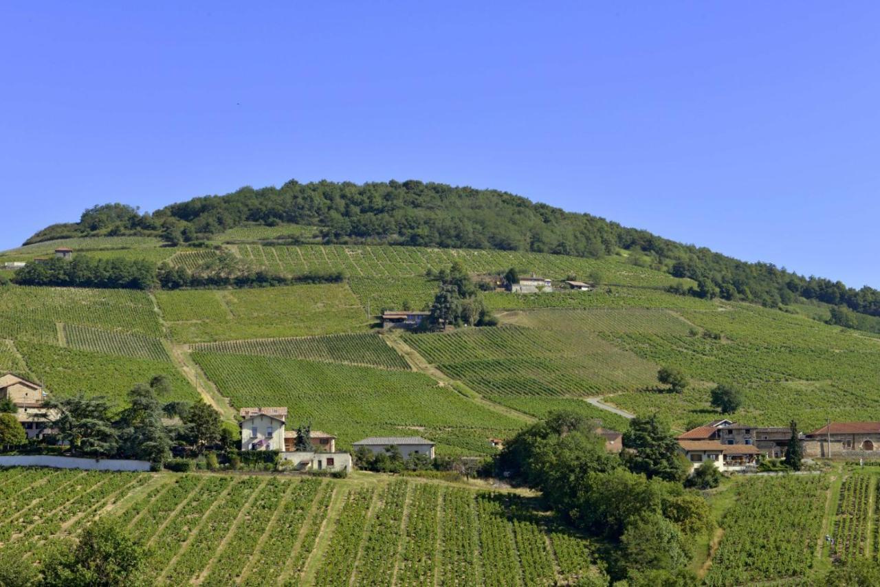 Appartement Cosy Au Coeur Du Beaujolais Saint-Lager Eksteriør bilde